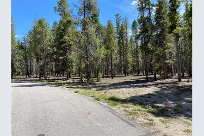 349 Augusta Drive, Leadville, CO 80461 - Photo 2