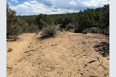 Lots 81A & 101 Twin Lakes Ranch, Walsenburg, CO 81089 - Photo 4