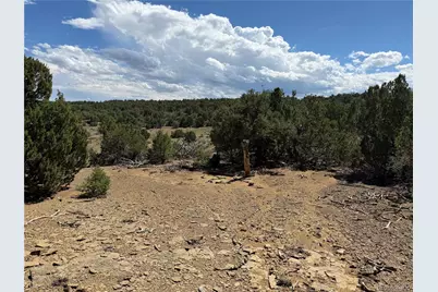 Lots 81A & 101 Twin Lakes Ranch, Walsenburg, CO 81089 - Photo 16