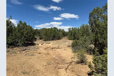 Lots 81A & 101 Twin Lakes Ranch, Walsenburg, CO 81089 - Photo 22