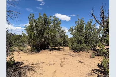 Lots 81A & 101 Twin Lakes Ranch, Walsenburg, CO 81089 - Photo 18