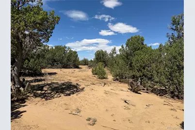 Lots 81A & 101 Twin Lakes Ranch, Walsenburg, CO 81089 - Photo 20