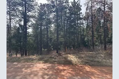 8169 Bannock Drive, Larkspur, CO 80118 - Photo 14