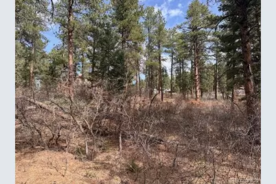 8169 Bannock Drive, Larkspur, CO 80118 - Photo 6