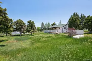 11613 Steele Ave, Elbert, CO 80106 - Photo 6