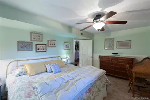 29255 Pinon Circle, Buena Vista, CO 81211 - Photo 30