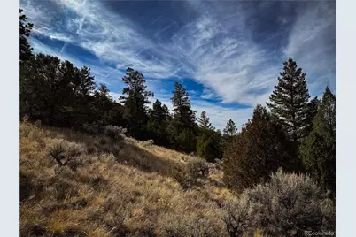 00 Jaidi Road, Fort Garland, CO 81133 - Photo 10