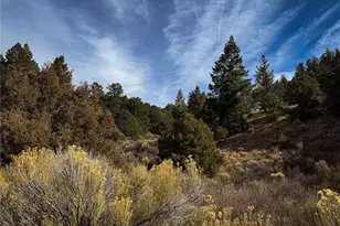 00 Jaidi Rd, Fort Garland, CO 81133 - Photo 1