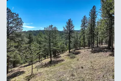 000 Hayden Ridge Road, Evergreen, CO 80439 - Photo 4