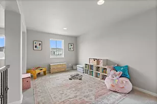 9583 Summer Sky Ln, Peyton, CO 80831 - Photo 20