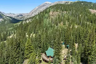 321 Monte Cristo Mine Rd, Breckenridge, CO 80424 - Photo 46