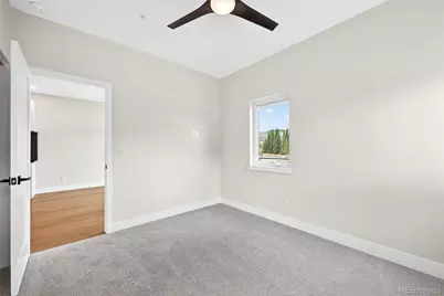 119 Wheeler Road, Winter Park, CO 80482 - Photo 44