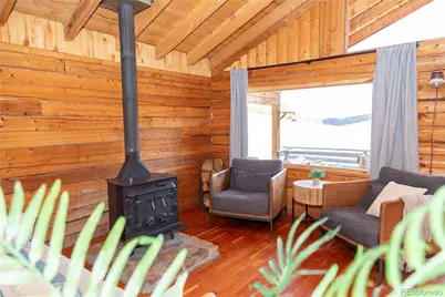 1001 Cr 17 Cebolla Cabin, Lake City, CO 81235 - Photo 6