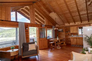 1001 Cr 17 Cebolla Cabin, Lake City, CO 81235 - Photo 38