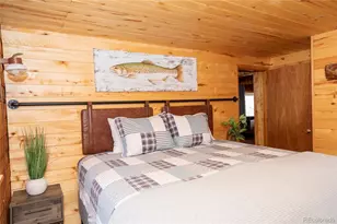 1001 Cr 17 Cebolla Cabin, Lake City, CO 81235 - Photo 32