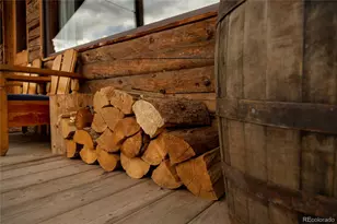 1001 Cr 17 Cebolla Cabin, Lake City, CO 81235 - Photo 10