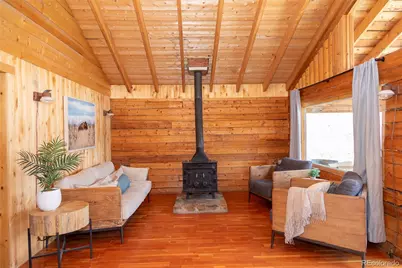 1001 Cr 17 Cebolla Cabin, Lake City, CO 81235 - Photo 16