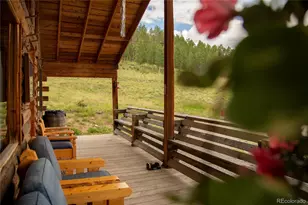1001 Cr 17 Cebolla Cabin, Lake City, CO 81235 - Photo 12