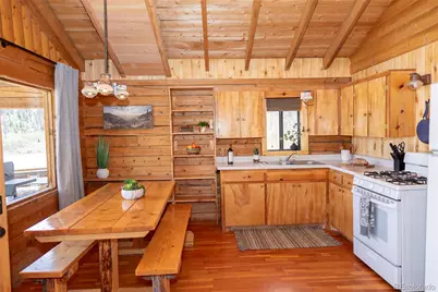 1001 Cr 17 Cebolla Cabin, Lake City, CO 81235 - Photo 34