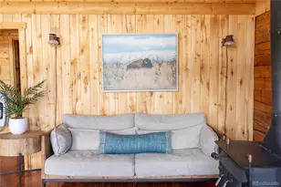 1001 Cr 17 Cebolla Cabin, Lake City, CO 81235 - Photo 14
