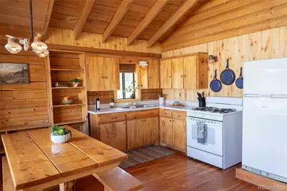 1001 Cr 17 Cebolla Cabin, Lake City, CO 81235 - Photo 4