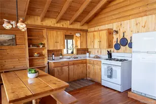 1001 Cr 17 Cebolla Cabin, Lake City, CO 81235 - Photo 4