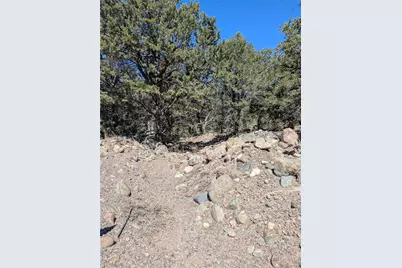 2202 Spanish Creek Road, Crestone, CO 81131 - Photo 2