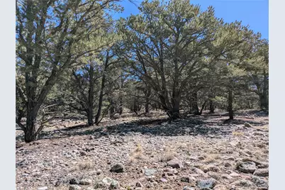 2202 Spanish Creek Road, Crestone, CO 81131 - Photo 12