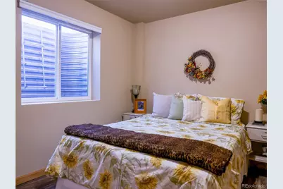 314 S Antelope Trail, Cotopaxi, CO 81223 - Photo 22