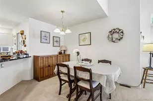 1011 S Valentia Street, Denver, CO 80247 - Photo 8