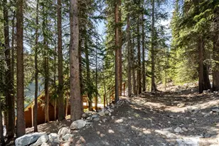 38 Brook Dr, Idaho Springs, CO 80452 - Photo 28