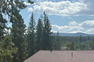 471 Hi Country Dr, Winter Park, CO 80482 - Photo 10