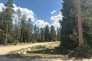 471 Hi Country Dr, Winter Park, CO 80482 - Photo 4