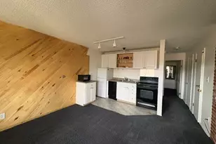 471 Hi Country Dr, Winter Park, CO 80482 - Photo 12