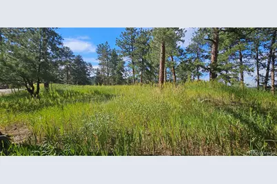 27903 Pine Drive, Evergreen, CO 80439 - Photo 4