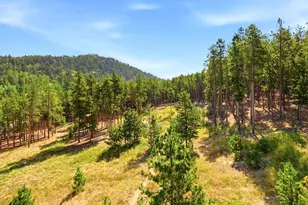10594 Crystal Dr, Morrison, CO 80465 - Photo 36