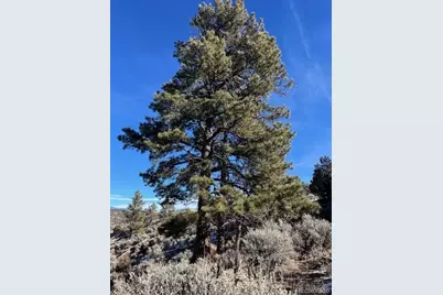 Lot 4828 Spencer Road, Fort Garland, CO 81133 - Photo 12