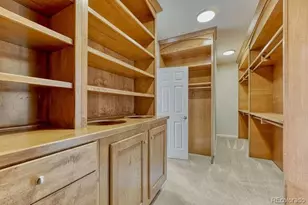 10360 Bluffmont Dr, Lone Tree, CO 80124 - Photo 24