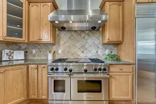 10360 Bluffmont Dr, Lone Tree, CO 80124 - Photo 18