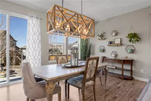 393 Midden Pl, Castle Rock, CO 80104 - Photo 8