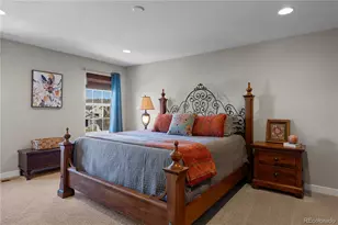 393 Midden Pl, Castle Rock, CO 80104 - Photo 20