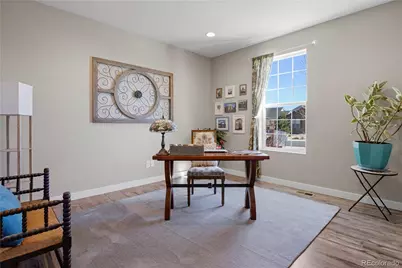 393 Midden Place, Castle Rock, CO 80104 - Photo 14