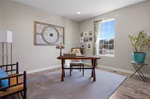 393 Midden Pl, Castle Rock, CO 80104 - Photo 14