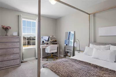 393 Midden Place, Castle Rock, CO 80104 - Photo 24