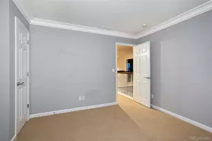 3465 Fantasy Pl, Castle Rock, CO 80109 - Photo 30