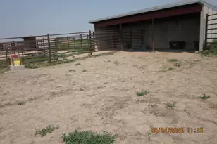 29429 Co Rd 9, Elizabeth, CO 80107 - Photo 8
