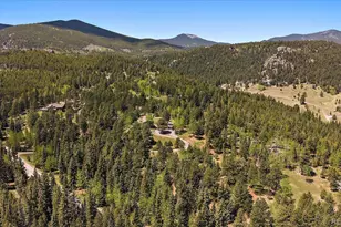 1229 Soda Creek Dr, Evergreen, CO 80439 - Photo 50
