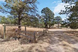 11218 Ponderosa Ln, Franktown, CO 80116 - Photo 4