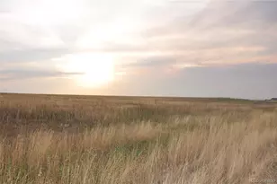 46503 Co Rd 53, Bennett, CO 80102 - Photo 1