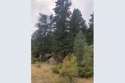 Cedar Drive, Lyons, CO 80540 - Photo 12
